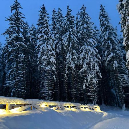 Algara Hut Hotell Panitsjisjte Eksteriør bilde