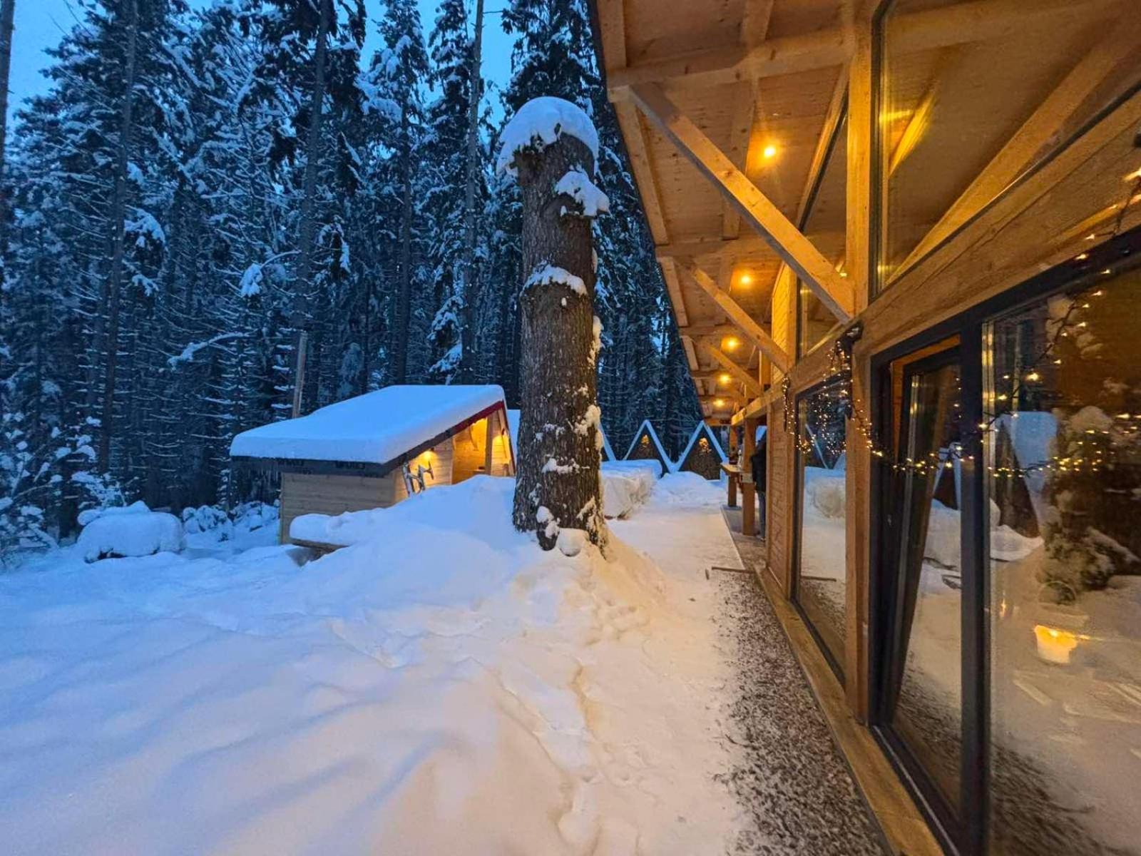 Algara Hut Hotell Panitsjisjte Eksteriør bilde